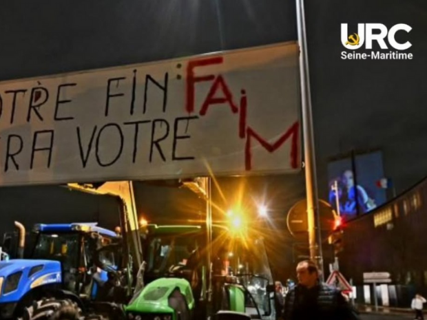 Dermatose nodulaire – Derrière l’abattage sanitaire, le massacre des petits éleveurs