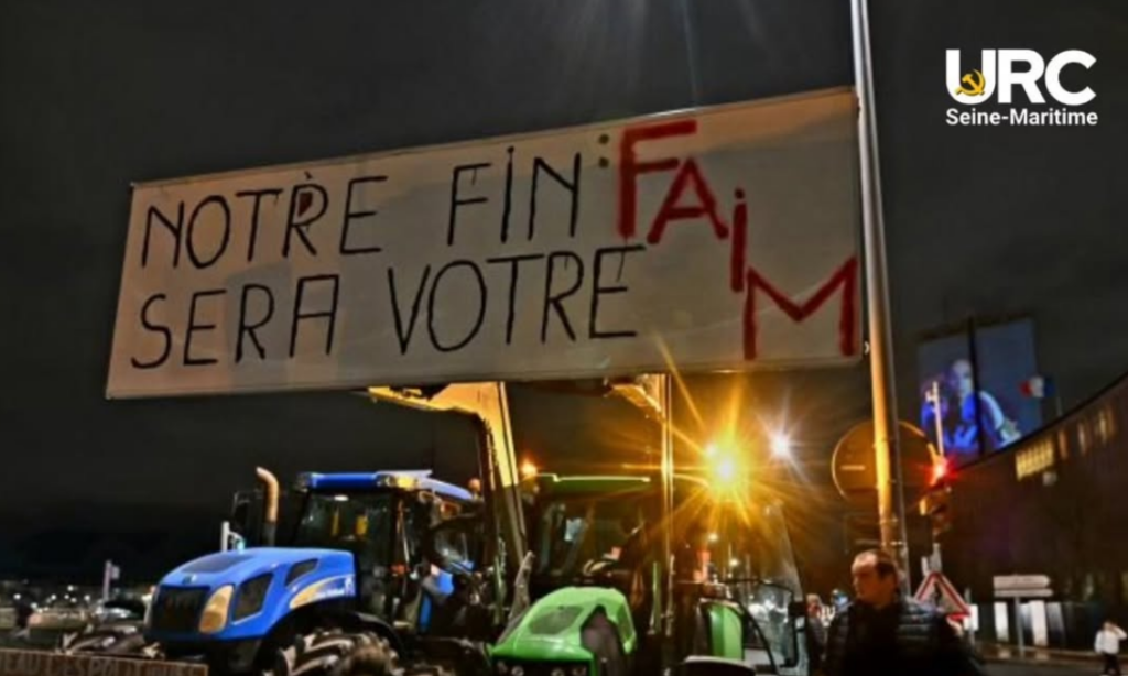 DERMATOSE NODULAIRE - DERRIÈRE L’ABATTAGE SANITAIRE, LE MASSACRE DES PETITS ÉLEVEURS