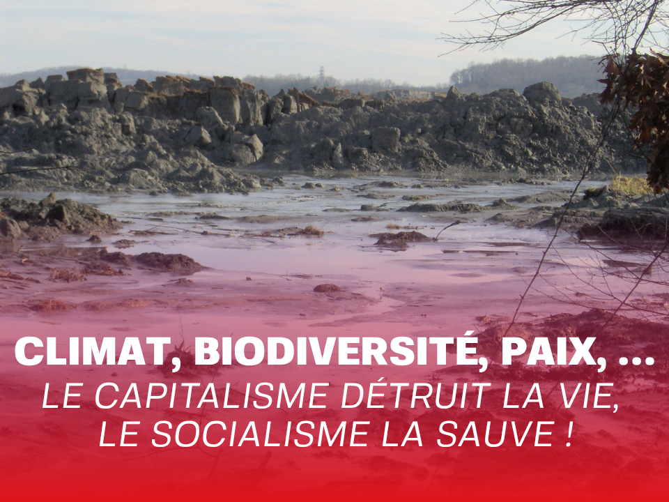 Climat, Biodiversité, Paix, … Le capitalisme détruit la vie, le socialisme la sauve !